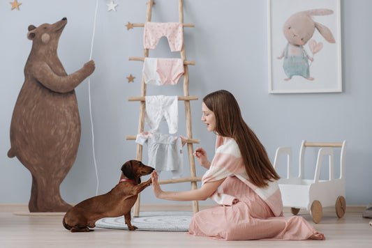 Come addestrare un cane: I 5 comandi principali