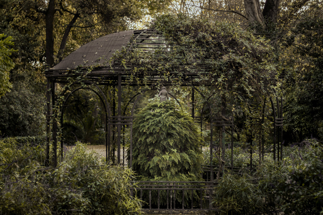 Come avere un giardino verde anche in inverno