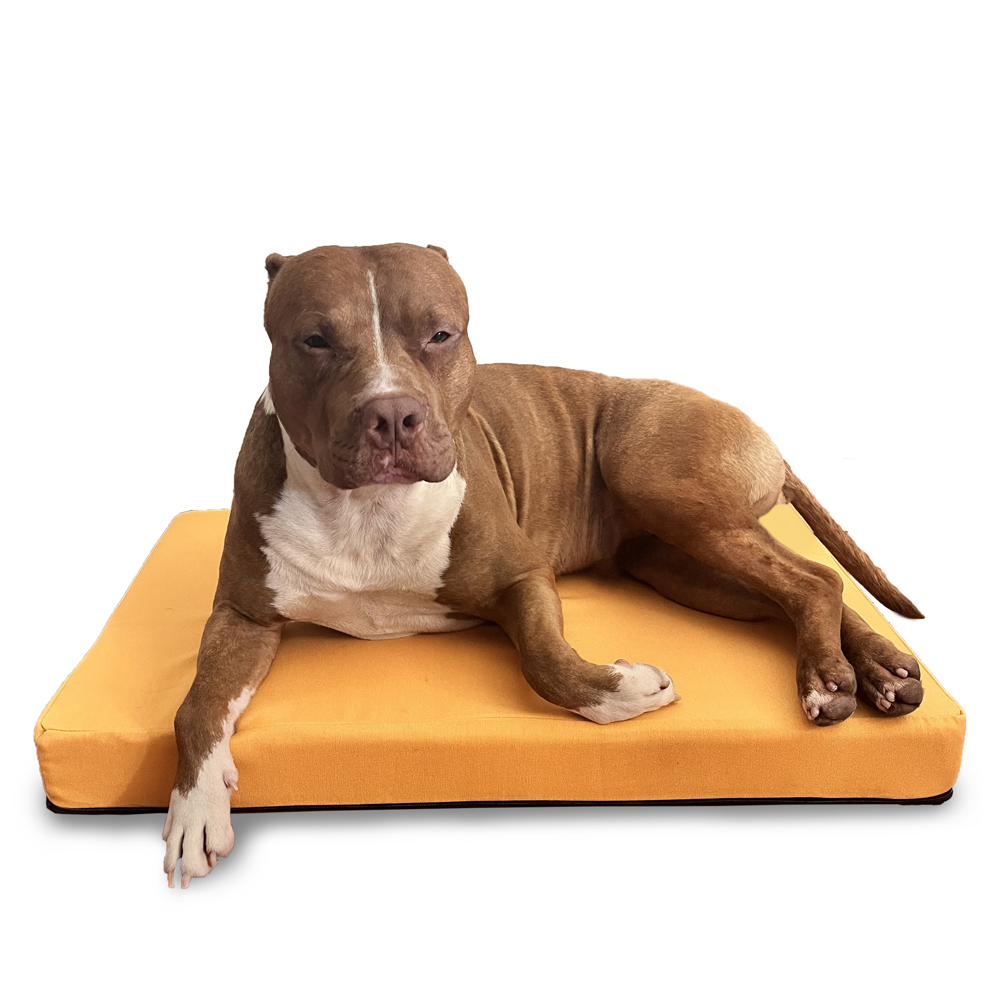 cuscino-per-cane-grande