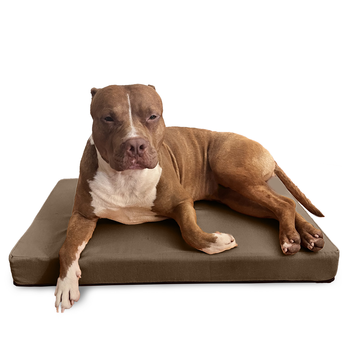 cuscino-per-cane-grande