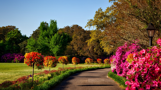 I segreti per un giardino perfetto: dalla progettazione alla manutenzione